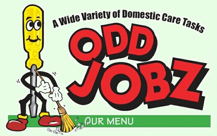 A Wide Variety of Domestic Care Tasks